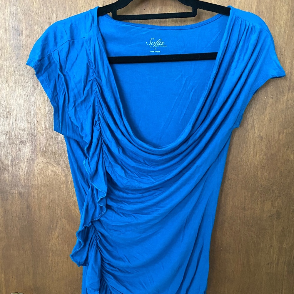 Sofia Vergara Maternity Blouse